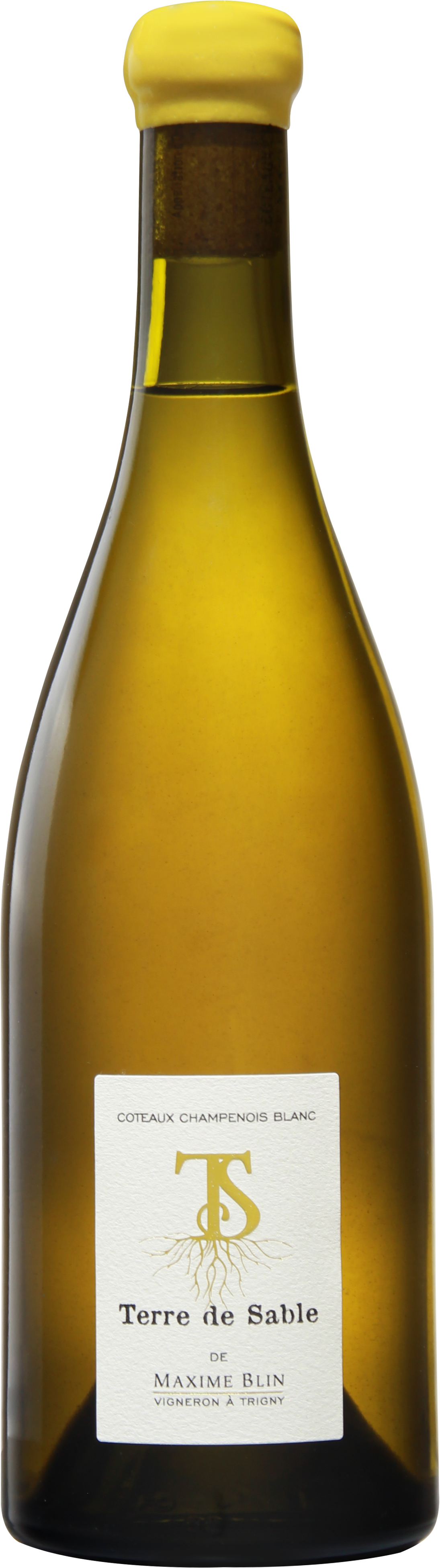 Coteaux Champenois Blanc - Terre de Sable | Champagne Maxime Blin
